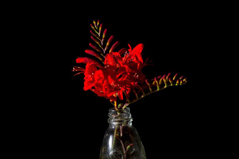 Rode Bloemen in glazen fles van Rene de Werker
