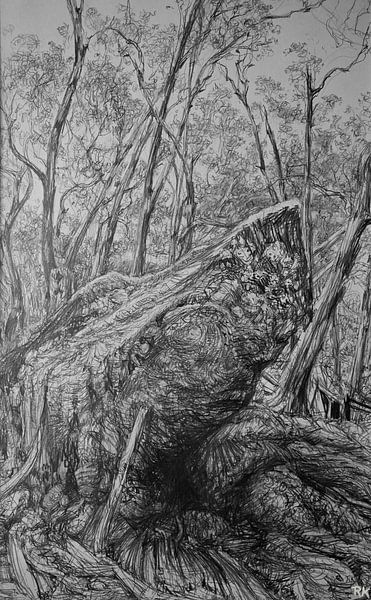 Schwarzweißer australischer Wald von KB Prints