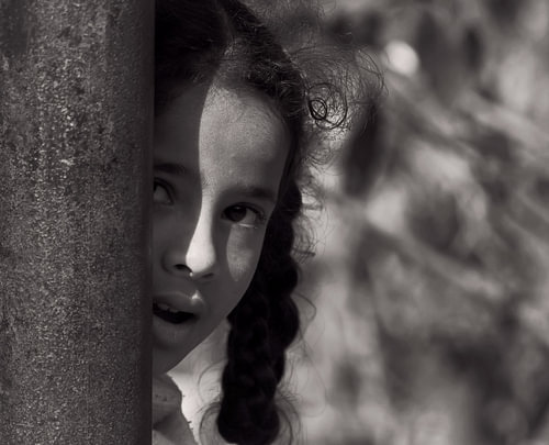 Shy Curiosity