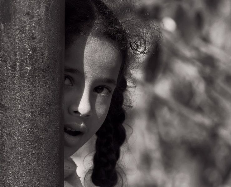 Shy Curiosity by Krishna Suresh