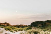 De maan in de Kennemerduinen