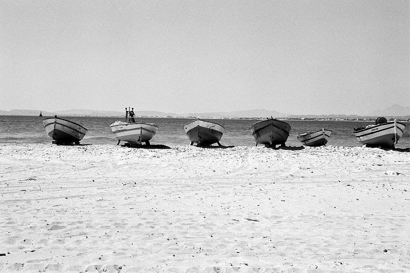 Africa by Maarten  van der Velden