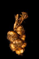 Gerookte knoflook