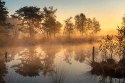 The moor at sunrise