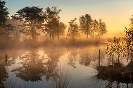 La lande au lever du soleil
