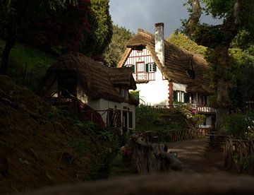 House in the forest by mrije