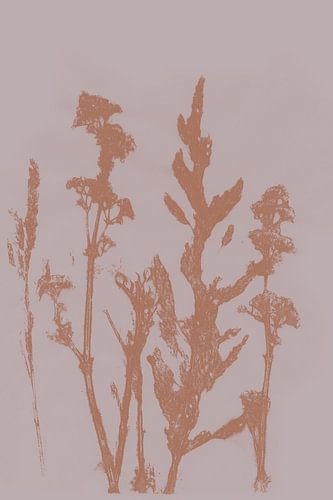 Pastel Botanicals. Plante en brun et rose no. 7