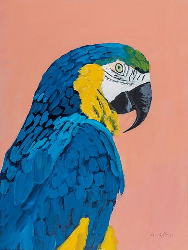 Blue and Gold Macaw, Pamela Munger