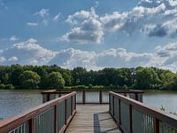 Der Steg