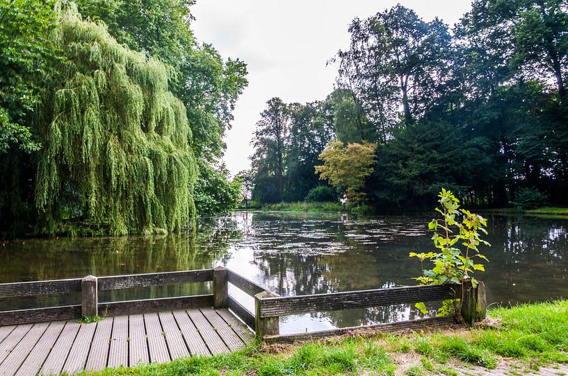 Park par Fatima Maria Mernisi