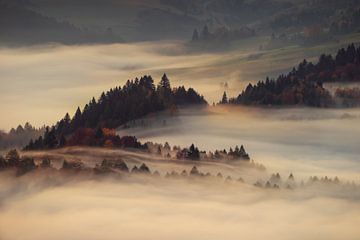 Nebel in Pieniny von Wojciech Kruczynski