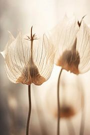 Pastel Nature Macro No 7 von Treechild