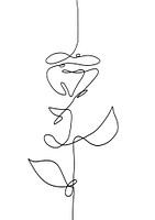 Line drawing abstract rose black line on white background