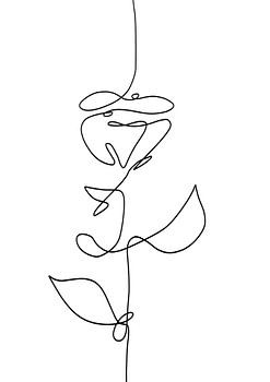 Line drawing abstract rose black line on white background