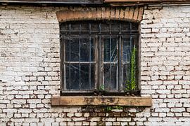 Decay due to depopulation. by Marjolein Zijlstra