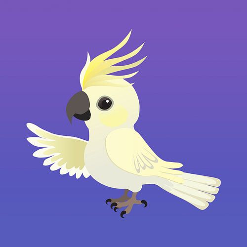 Funny sulphur crested cockatoo