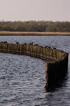 Série Lauwersoog