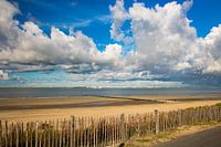 View on the Westerschelde