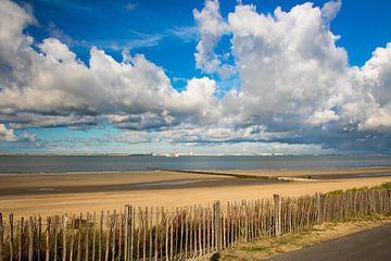 Blick auf die Westerschelde von Adriana Zoon