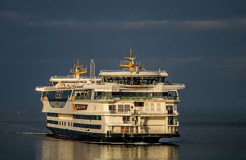 Teso Texelstroom - Texel