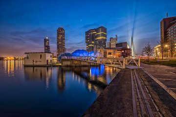 Skyline Rotterdam - Blue Hour von Dick van Duijn