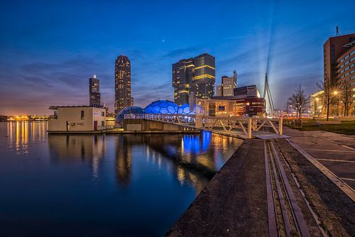 Skyline Rotterdam - Blue Hour