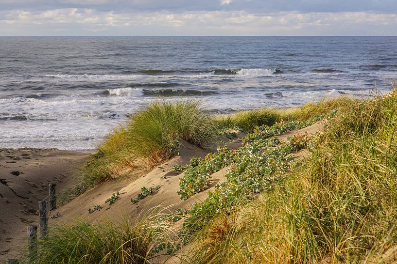 Holländischer Strand und Dünen von Dirk van Egmond