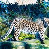 Amurleopard von Truckpowerr