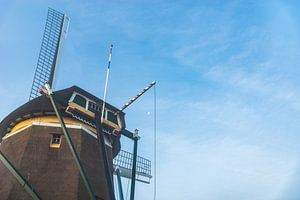 Zie de maan schijnt..