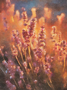 Lavendel in Goldenem Nebel