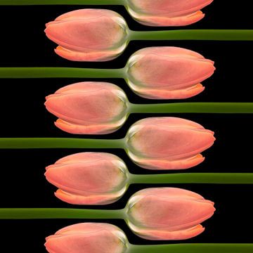 Tulpen online I van Klaartje Majoor
