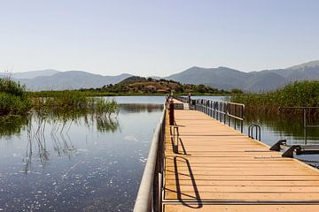 Loopbrug naar eiland in Prespameer Griekenland van Edith Keijzer
