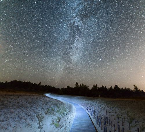 Houten pad in de zandduinen