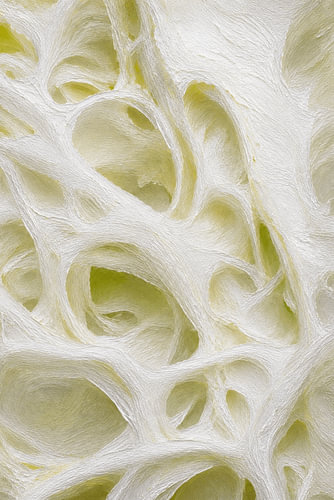 Pomelo Pith Texture - Indonesia