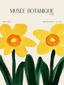 Musée Botanique No 03