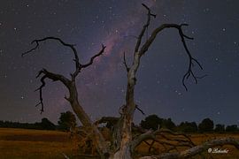 astrophotography milkyway nacht fotografie sterren lucht donker