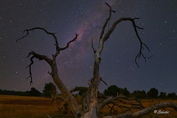 Astrofotografie Milchstraße Nachtfotografie Sterne Himmel dunkel von richard hut