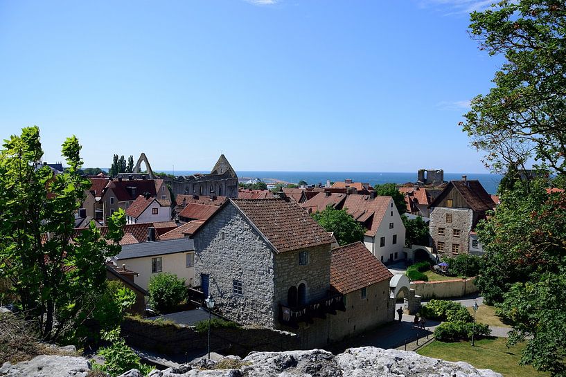 Verhoogd uitzicht over Visby van Frank's Awesome Travels