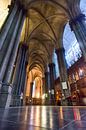 Kathedrale von Lille von Mark Bolijn Miniaturansicht