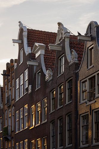 Chalets d'Amsterdam à l'heure d'or