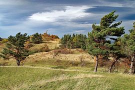 Hurricane on the Goat Mountain in the Harz Mountains by Jörg Sabel - Fotografie