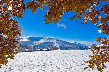 Une fenêtre hivernale avec des feuilles de chêne et une vue sur le Grießenkar sur Christa Kramer