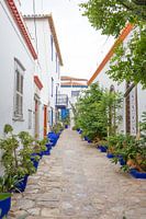 Blauwe Plantenbak