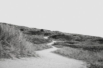 Het pad door de duinen van studio Arcis fotografie
