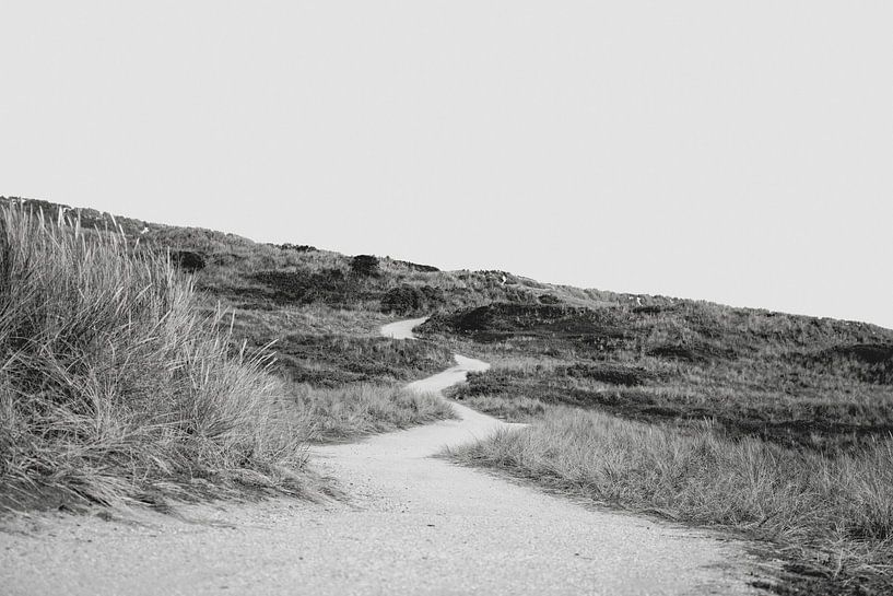 The path through the dunes by studio Arcis Photography