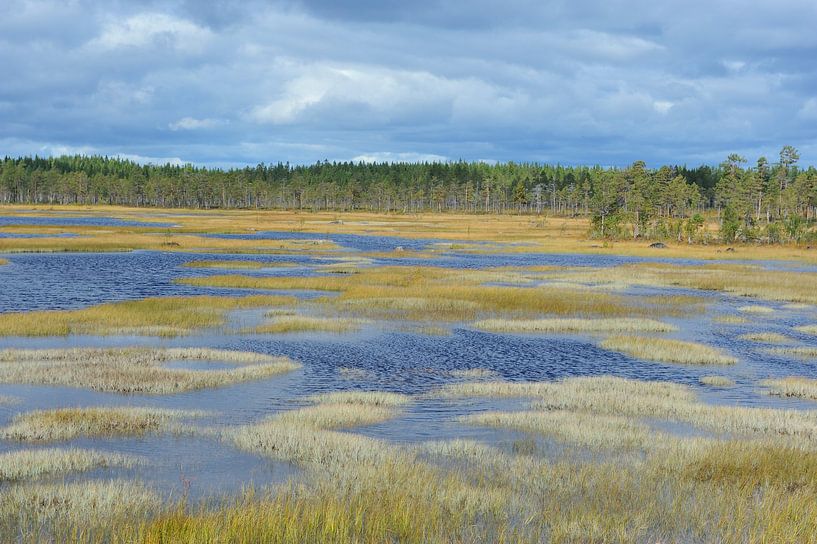 Hamra National Park by Karin Jähne