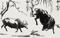 Two oxen vintage woodcut . Japanese art ukiyo-e. Retro Japandi. by Dina Dankers thumbnail