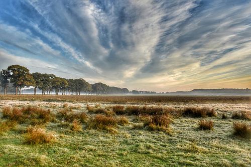 Mist bij zonsopkomst in Exloo