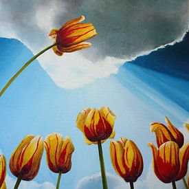 Tulips in rays of light by Russell Hinckley