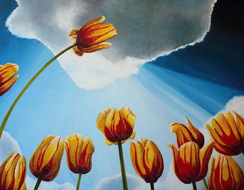 Tulpen in lichtstraal van Russell Hinckley
